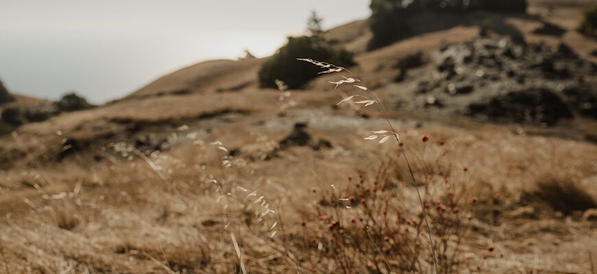 Our $3K Mt Tamalpais Sunset Elopement | A Practical Wedding