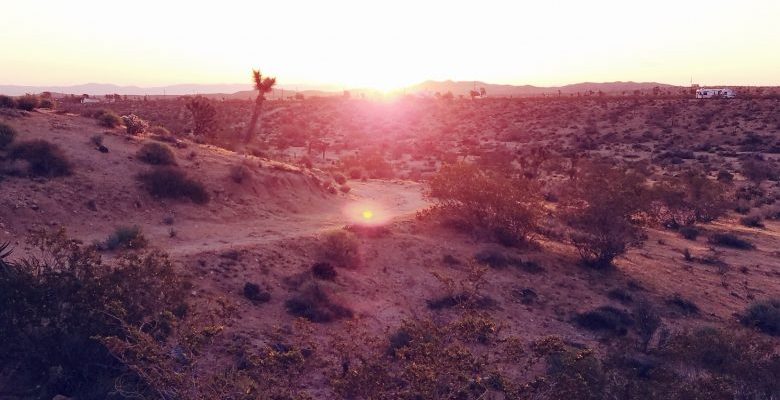 How to Plan a Dreamy Joshua Tree Honeymoon | A Practical Wedding