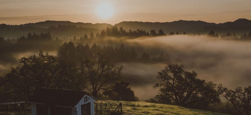 Our $16K, Homespun, Community-Built Wedding In The Middle Of Nowhere | A Practical Wedding