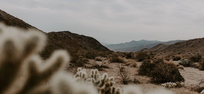 Our Intimate Sunrise Joshua Tree National Park Elopement | A Practical Wedding