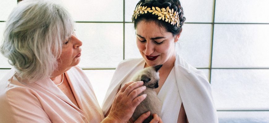 This Kitten Happy Hour Wedding is Breaking the Internet | A Practical Wedding